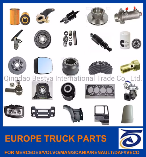 Truck Spare Body Parts for Daf/Scania/Mercedes-Benz/Volvo/Man/Renault/Iveco/Hino/Mitsubishi/Isuzu/Hyundai