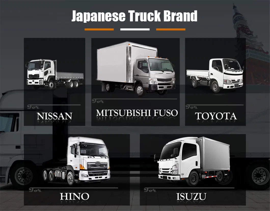 Truck Spare Body Parts for Daf/Scania/Mercedes-Benz/Volvo/Man/Renault/Iveco/Hino/Mitsubishi/Isuzu/Hyundai